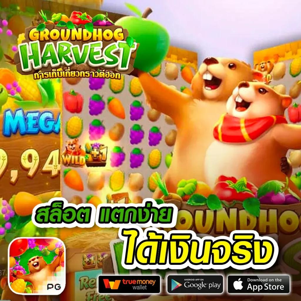 allwingame9 เว็บตรง สล็อต ฝากถอนออโต้ ไม่ผ่านเอเย่นต์ 2026