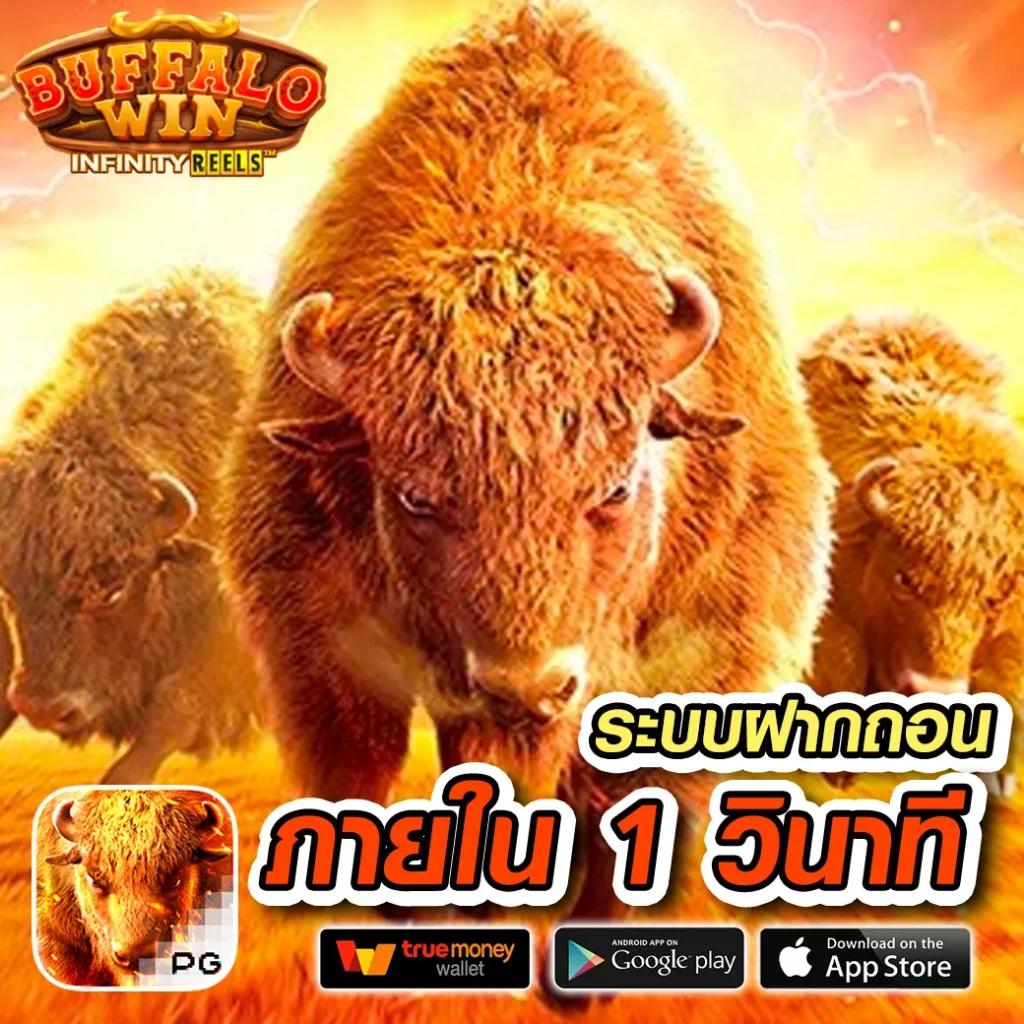 pixxybet เว็บตรง สล็อต ฝากถอนออโต้ ไม่ผ่านเอเย่นต์ 2026